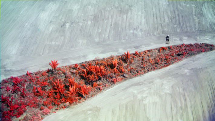 Photo of a work by Richard Mosse from the exhibition 