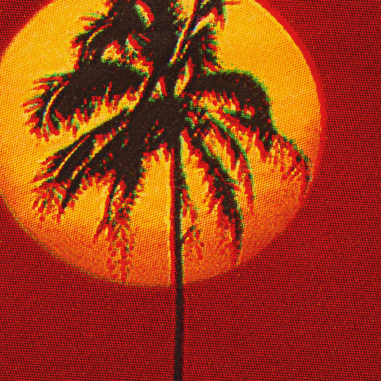 Photo Elysée Musée cantonal pour la photographie