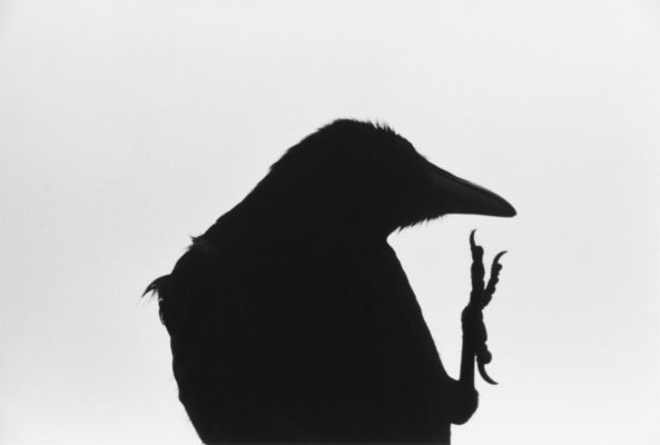 Masahisa Fukase, 